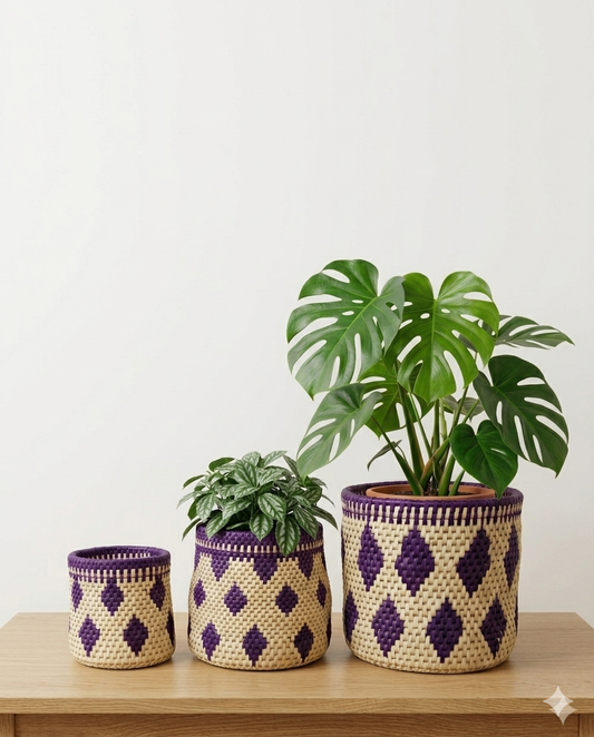 Planter Date Leaf (set of 03) (PR004)
