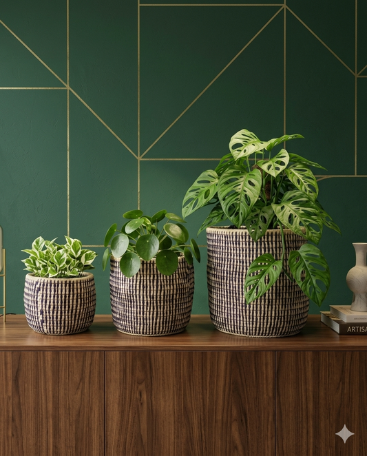 Planter Date Leaf (set of 03) (PR001)